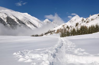 Alp dağ vadisinde geçerken karda izlemek