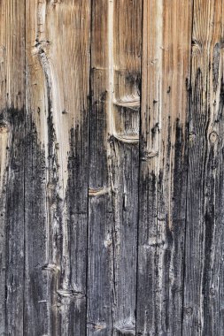 gri bir bölümü ile dokulu eski ahşap panel
