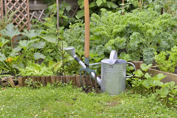 Air Bisa Dan Sekop Depan Kebun Sayuran — Stok Foto