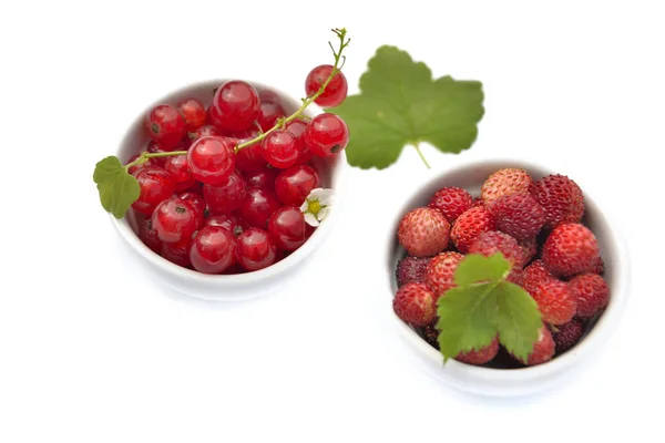 Top View Red Berries Little Bowl White Background — Stock Photo, Image