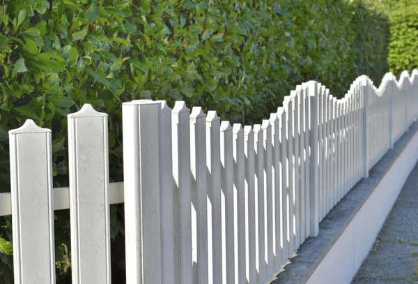 Près Une Clôture Blanche Long Une Haie Verte Jardin Urbain — Photo