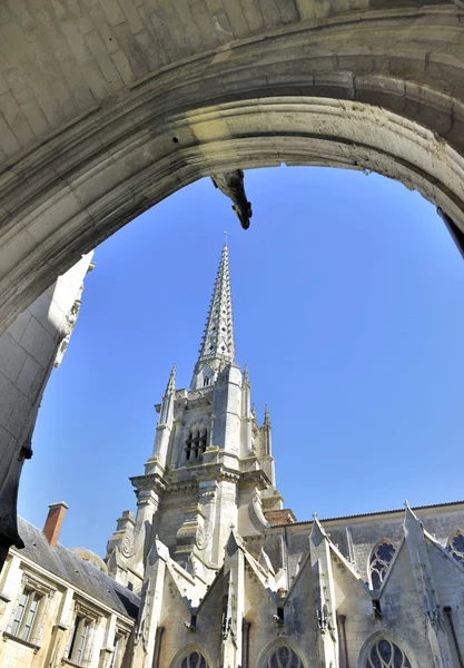 Fransa'da varsayım Notre-Dame Katedrali