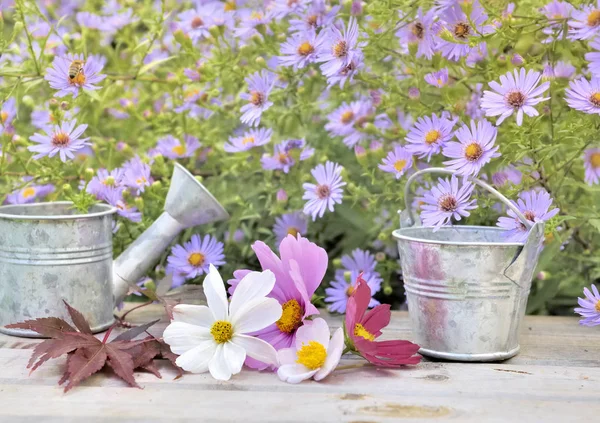 Fiori Pentole Metallo Tavolo Giardino Fronte Cespuglio Che Fiorisce — Foto Stock