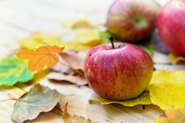 sonbahar yaprakları üzerinde kırmızı taze elma bir masanın üzerine koydu