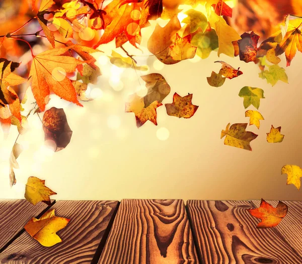 Beau Feuillage Automnal Avec Des Feuilles Tombées Sur Une Table — Photo