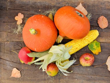 kabaklar, Mısır ve ahşap ve rustik masaya düzenlenmiş elma üstten görünüm
