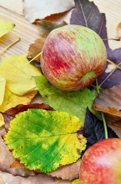Červená Čerstvá Jablka Podzimní Listí Stůl — Stock fotografie