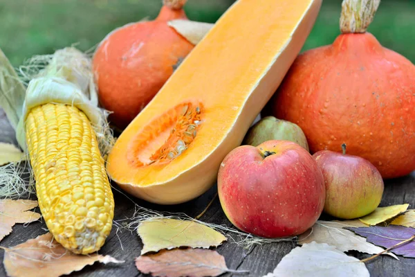 Kürbisse Mais Und Äpfel Auf Einem Holztisch — Stockfoto