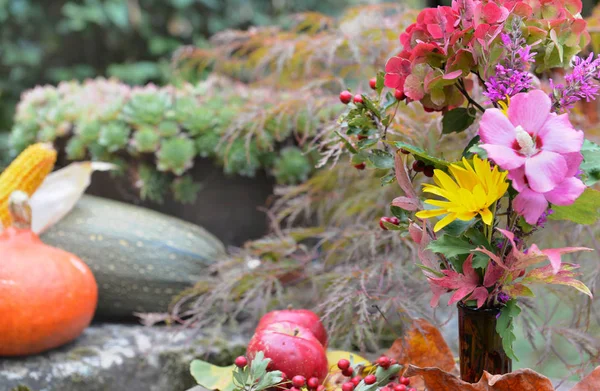 Warna Warna Indah Bunga Musim Gugur Depan Sayuran Kebun — Stok Foto