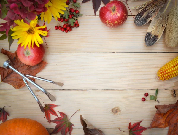 秋季花卉的顶部视图放在一个木桌上 园艺工具 红苹果 南瓜和玉米 — 图库照片