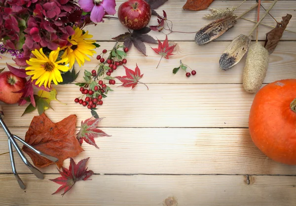 秋季花卉的顶部视图放在一个木桌上 园艺工具 红苹果和南瓜 — 图库照片