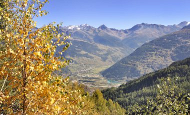 alp dağ bir vadi görünüm önünde sarı yapraklar