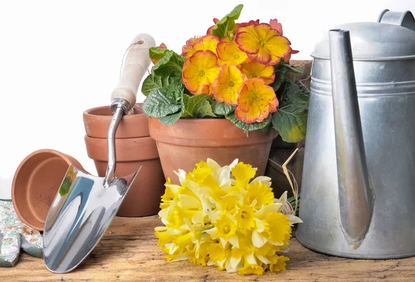 Arranjo Jardinagem Com Ferramentas Vaso Flores Uma Mesa Madeira — Fotografia de Stock