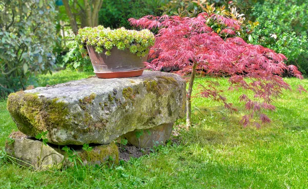 Banco Pedra Lado Bordo Japão Jardim Ornamental — Fotografia de Stock