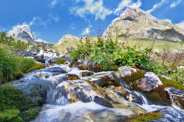 Agua Torrente Que Fluye Sobre Piedras Montaña — Foto de Stock