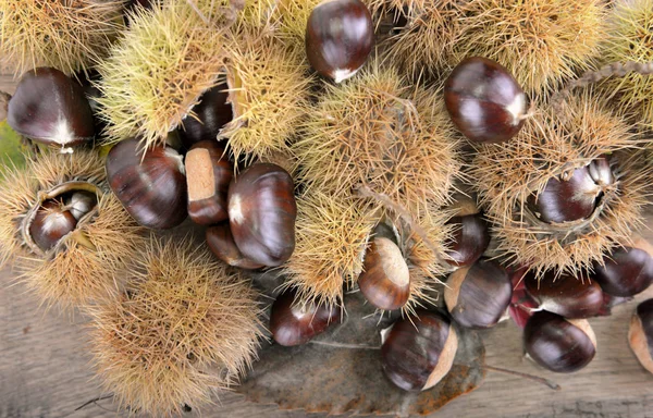 Group Fresh Sweet Chesnuts Shell Harvested Put Plank — Stock Photo, Image