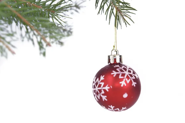 Christmas Baubles Hung Branch Fir Tree White Background — Stock Photo, Image