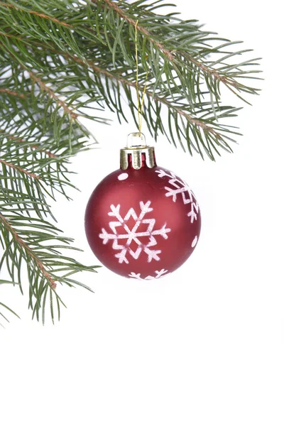 白色背景上的冷杉树枝上挂着圣诞小东西 — 图库照片