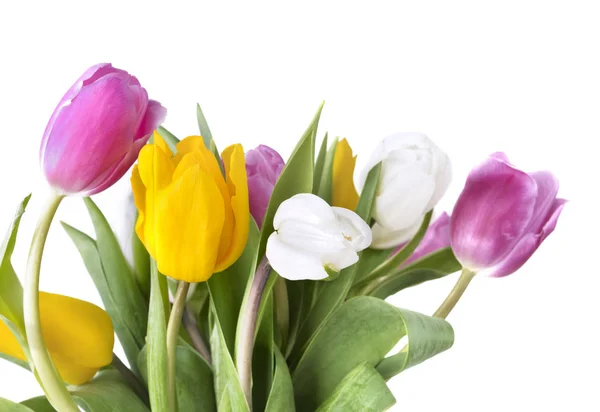 Beau Coloré Bouquet Tulipes Sur Fond Blanc — Photo