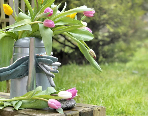 Kytice Tulipánů Konev Položila Stůl Zahradě — Stock fotografie