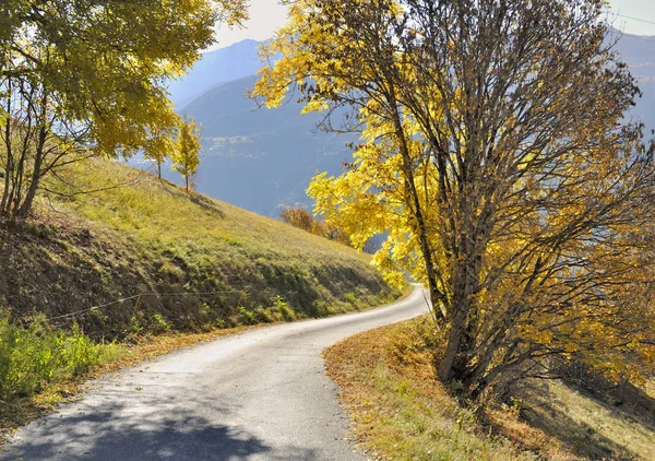 Estrada Que Atravessa Montanha Delimitada Por Árvores Com Folhagem Amarela — Fotografia de Stock
