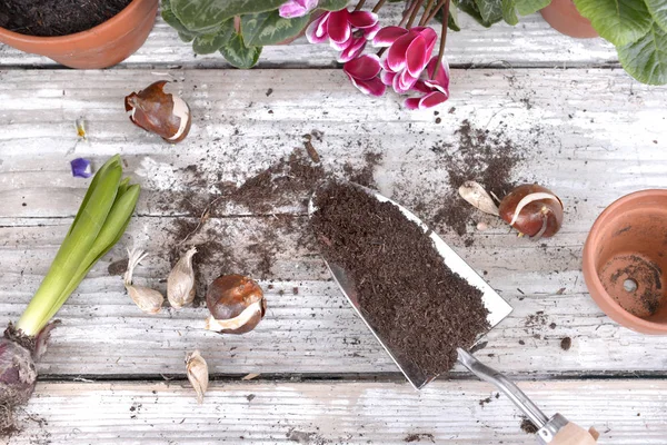 Kürek Toprak Çömlekçilik Için Bahçe Bir Tablo Koymak Çiçek Dolu — Stok fotoğraf