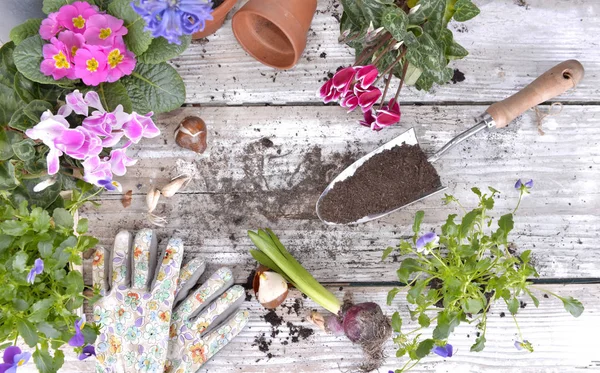 Ovanifrån Spade Fylld Med Jord Och Blomkrukor Ett Trädgårdsbord — Stockfoto