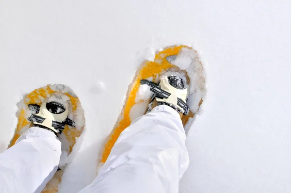 Bovenaanzicht Voeten Van Vrouw Vrouw Sneeuwschoenen — Stockfoto