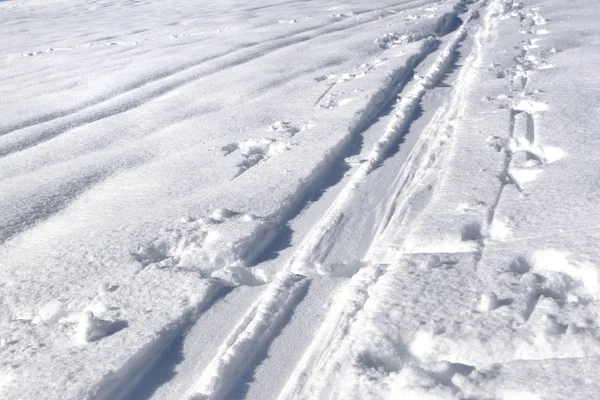 Sporen Van Langlaufen Sneeuw — Stockfoto