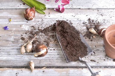 kürek toprak ve Çömlekçilik için bahçe bir tablo koymak ampuller dolu