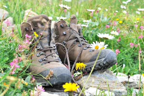 Hiking Schoenen Zet Rotsen Tussen Bloemen Een Weide — Stockfoto