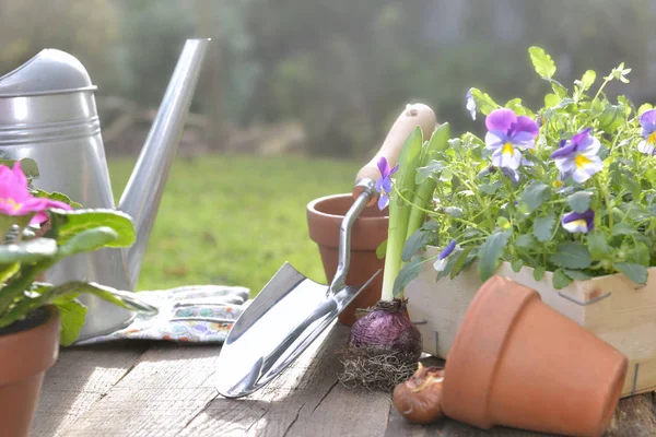 Spring Flowers Potted Gardening Accessories Table Garden — Stock Photo, Image