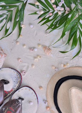 şapka, Flip flop ve yaprakları kum üzerinde deniz kabuğu bir parçası üzerinde üst görünüm 