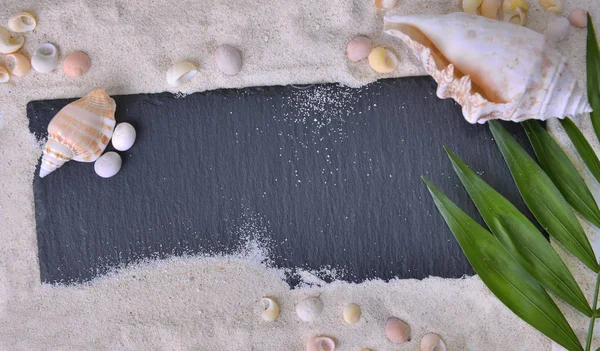 Bovenaanzicht op een leisteen in het zand met schelpen en blad — Stockfoto