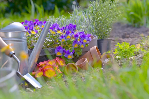 Gardening equipment for springtime work and flowers in a garden — Stock Photo, Image