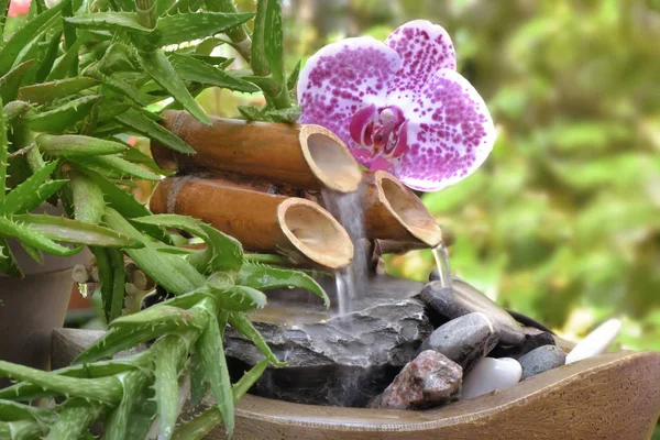 Litle decorative fountain and orchid in a garden — Stock Photo, Image
