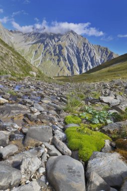 tepe dağ arka plan ile kayalar arasında akan su 