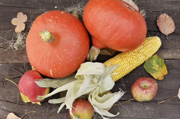 Top view on pumpkins, maize and apples arranged on a wooden background — Stock Photo, Image