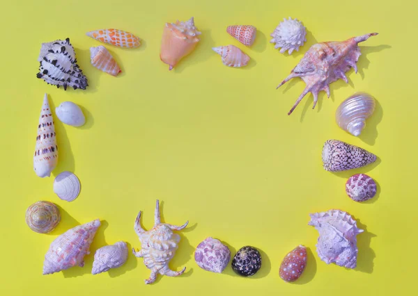 Seashells frame on yellow background and empty space in the cent — Stock Photo, Image