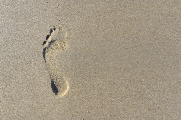 Vrcholový pohled na stopu v písku — Stock fotografie