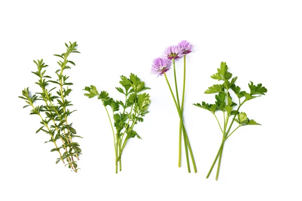 Thyme, parsley and shives isolated on white background — Stock Photo, Image