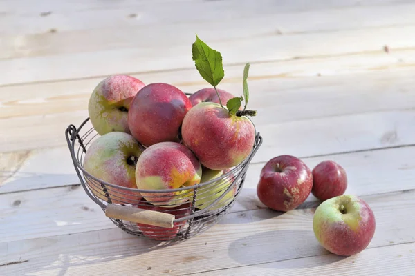 Korb voller frischer Äpfel aus dem Garten auf Holztisch gestellt — Stockfoto