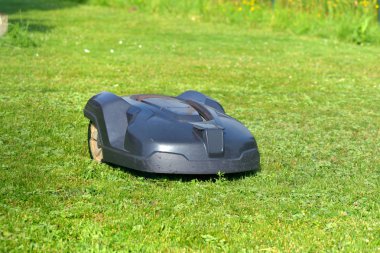 bahçede çim üzerinde robotik çim biçme makinesi 