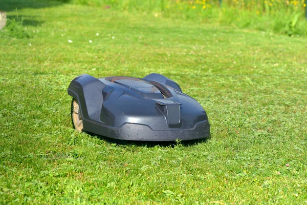 庭の草の上のロボット芝刈り機 — ストック写真