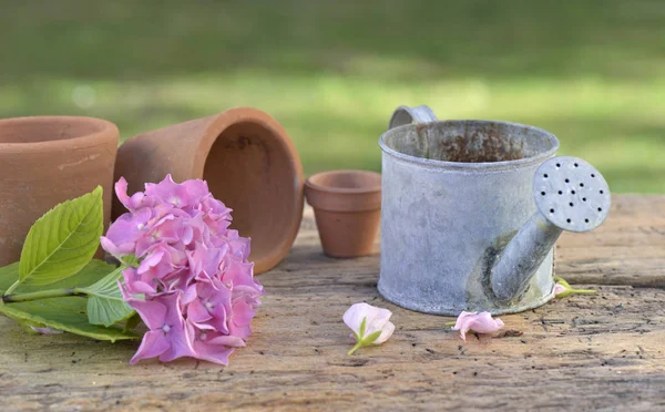 Маленькая металлическая банка полива на столе в саду с цветами и — стоковое фото