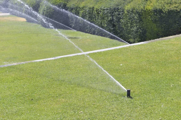 洒水器在公园里浇灌草坪 — 图库照片