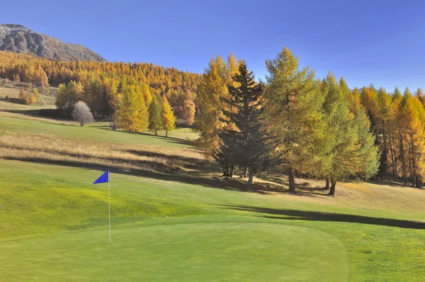 Golfbana i vackra gula träd i fjäll landskap i — Stockfoto
