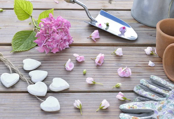 Jardin romantique nature morte avec pétales de fleurs renversés sur une table en bois et jardinage — Photo