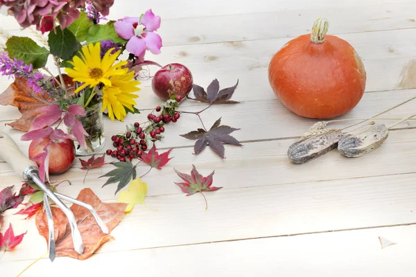 Çiçek buketi sonbahar bir w üzerinde kırmızı elma ve kabak yaprakları — Stok fotoğraf