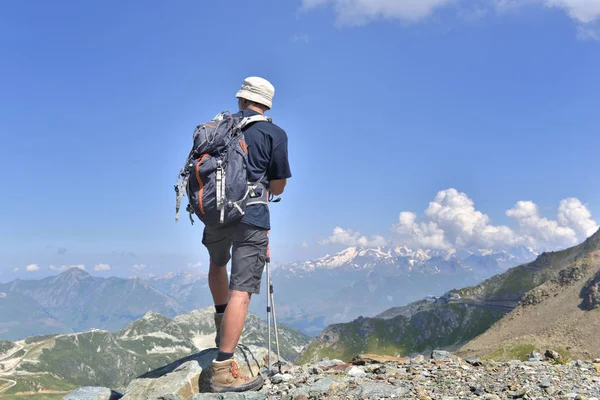 Hiker standing on the summit of alpine mountain in a summer — Stock Photo, Image